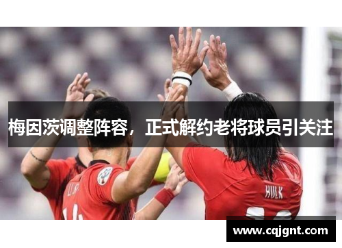 梅因茨调整阵容，正式解约老将球员引关注